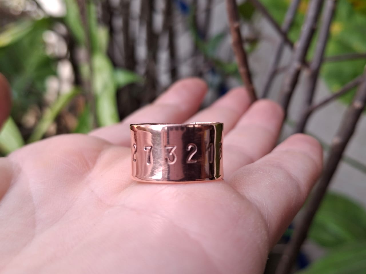 WhatsApp Image 2026-02-02 at 12.00.51 PM (4)